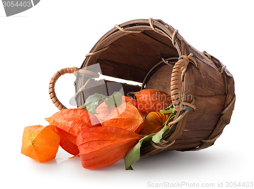 Image of Physalis in a basket