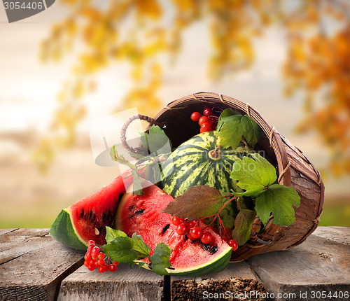 Image of Watermelons and landscape