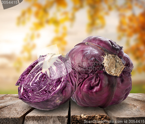 Image of Purple cabbage on table