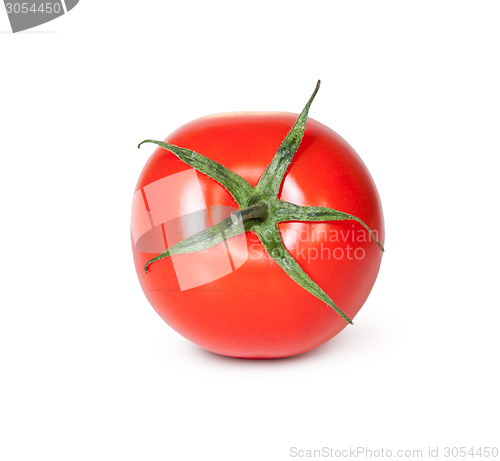 Image of One Red Tomato