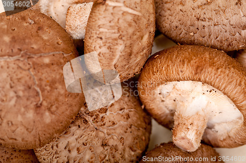 Image of shiitake mushrooms