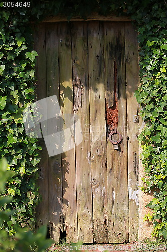 Image of Old door in the garden is closed