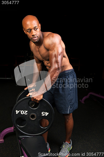 Image of Ripped Muscular Weight Lifter