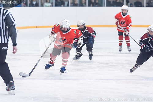 Image of Youth ice hockey team at practice