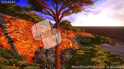 Image of beautiful shore