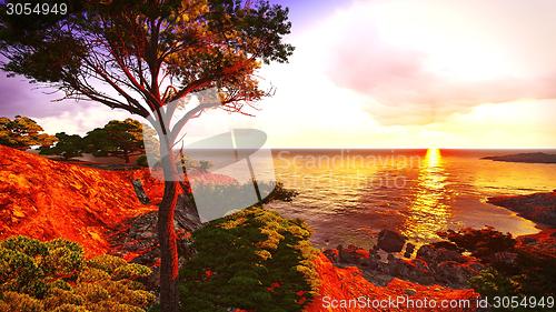 Image of beautiful shore