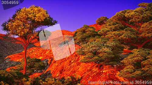 Image of beautiful shore