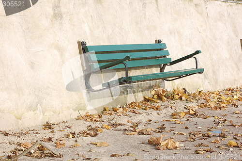 Image of Fall or autumn leaves.