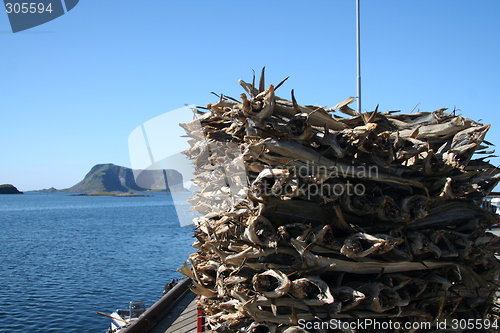 Image of Stockfish