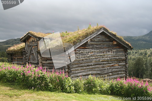 Image of Cowshed