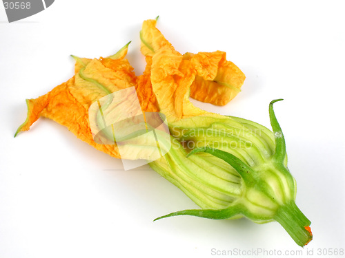 Image of Squash blossom