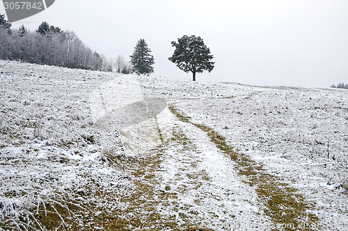 Image of Field in winter