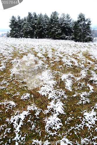Image of Field in winter