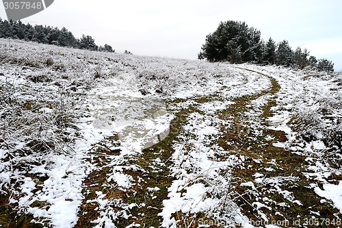 Image of Field in winter