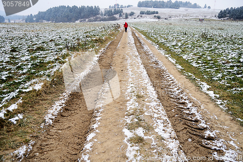 Image of Road  in winter