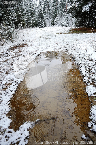 Image of Forest road in winter