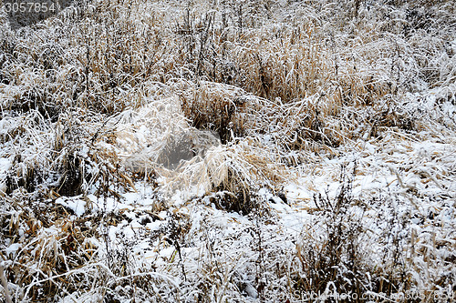 Image of Field in winter