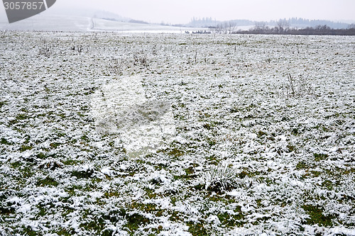 Image of Field in winter