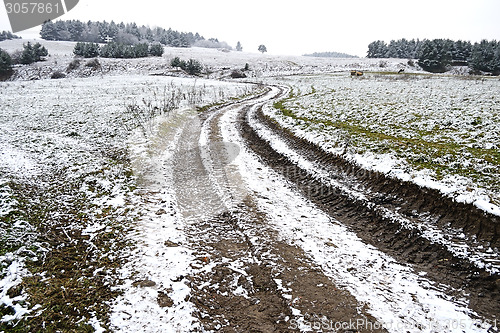 Image of Field in winter