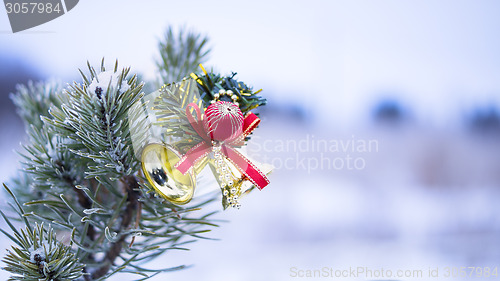 Image of Christmas decoration on natural fir