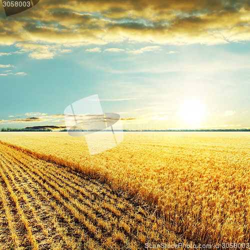 Image of golden harvesting field and sunset over it