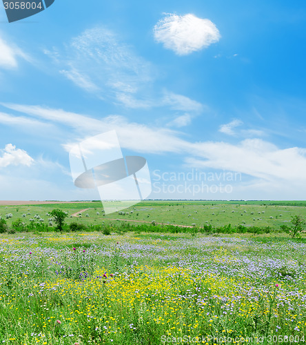 Image of sunny day on green landscape with flowers and blue sky with clou