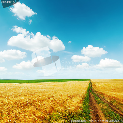 Image of road in golden field with harvest under blue sky with clouds