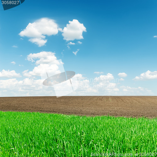 Image of agriculture green and black fields and low clouds in horizon