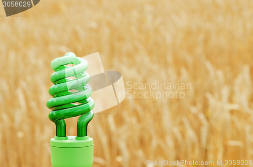 Image of green eco bulb over field with golden harvest