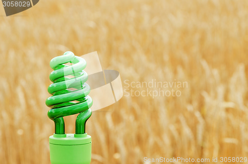 Image of green eco bulb over field with golden harvest