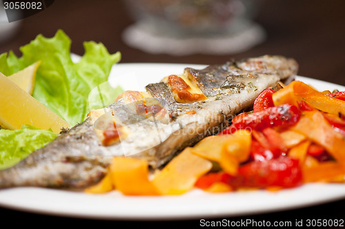 Image of rainbow trout fish