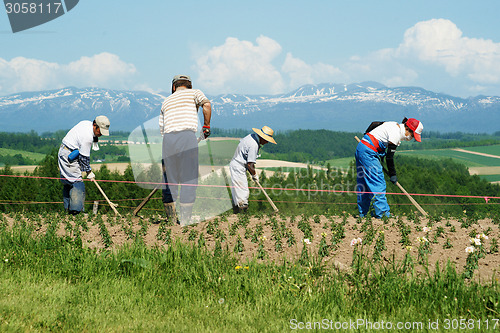 Image of Farmers in Japan.