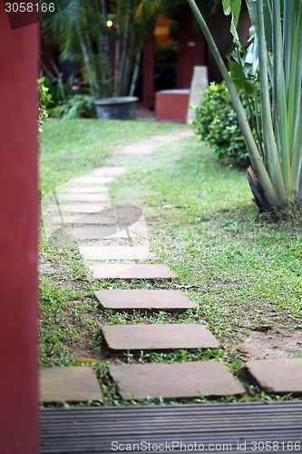 Image of tropical Garden