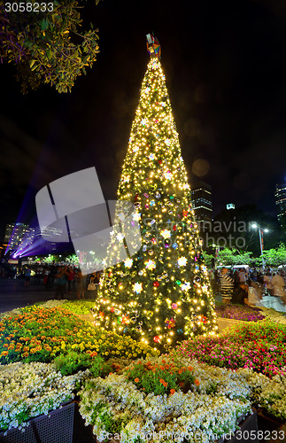 Image of Christmas Tree at St Mary's Cathedral Sydney