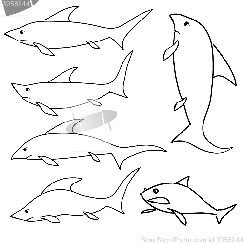 Image of shark set