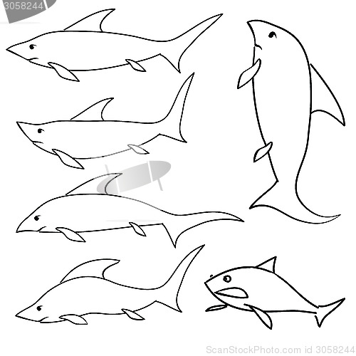 Image of shark set
