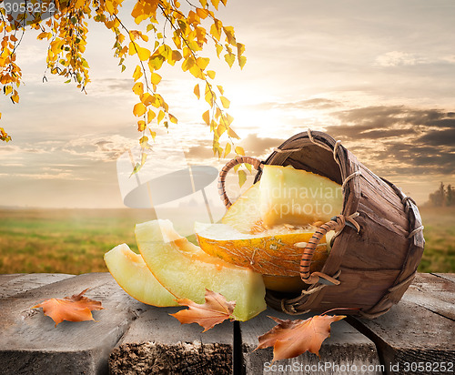 Image of Melon and landscape