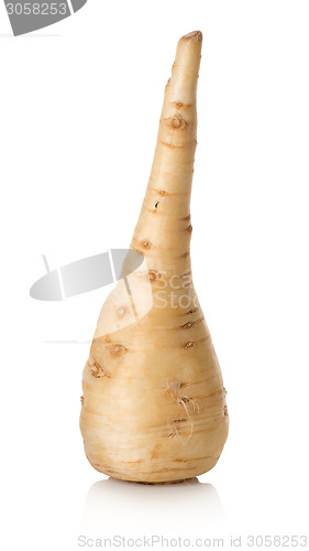 Image of Parsley root