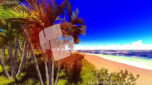 Image of beautiful shore