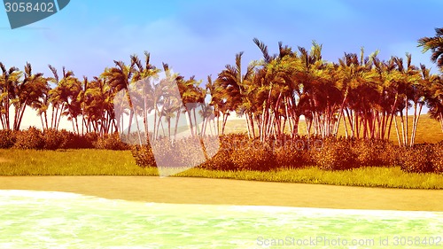 Image of beautiful shore