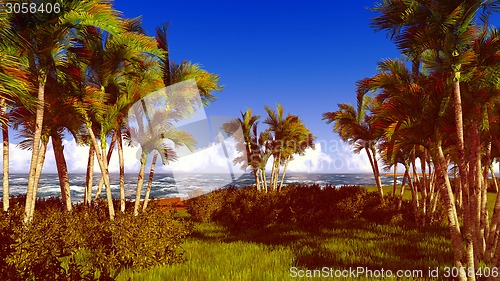 Image of beautiful shore