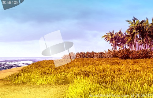 Image of beautiful shore