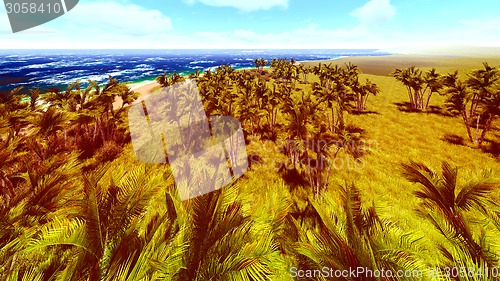 Image of beautiful shore