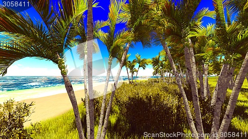 Image of beautiful shore