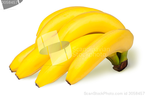 Image of Bunch Of Bananas