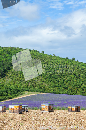 Image of Beehive close to lavander field