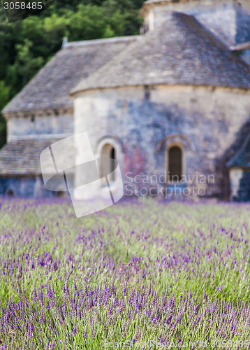 Image of Lavander field