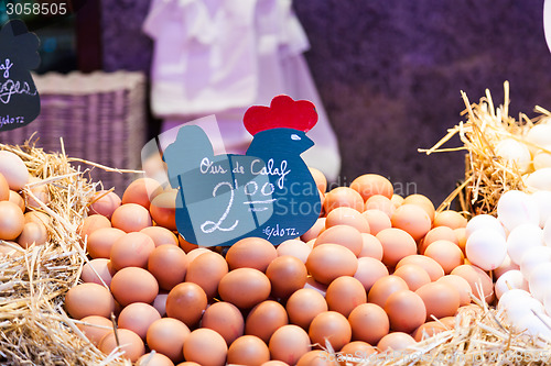 Image of Eggs seller