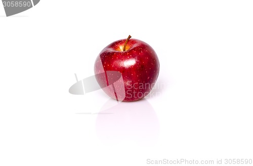 Image of Single red apple