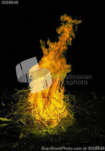 Image of Burning fire